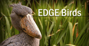 Screen Shot 2014-03-18 at 11.18.57 AM