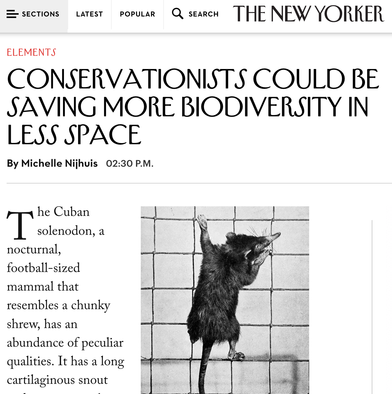 Screen Shot 2017-05-25 at 08.04.42