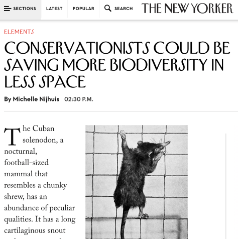 Screen Shot 2017-05-25 at 08.04.42