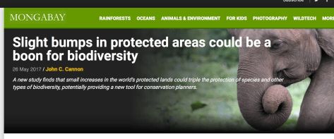 Screen Shot 2017-06-02 at 21.04.29